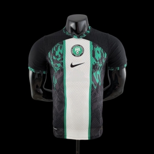 Player Version 2022 Nigeria Home Soccer Jersey